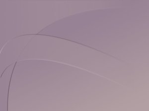 高防DNS域名解析SaaS服务集成方案